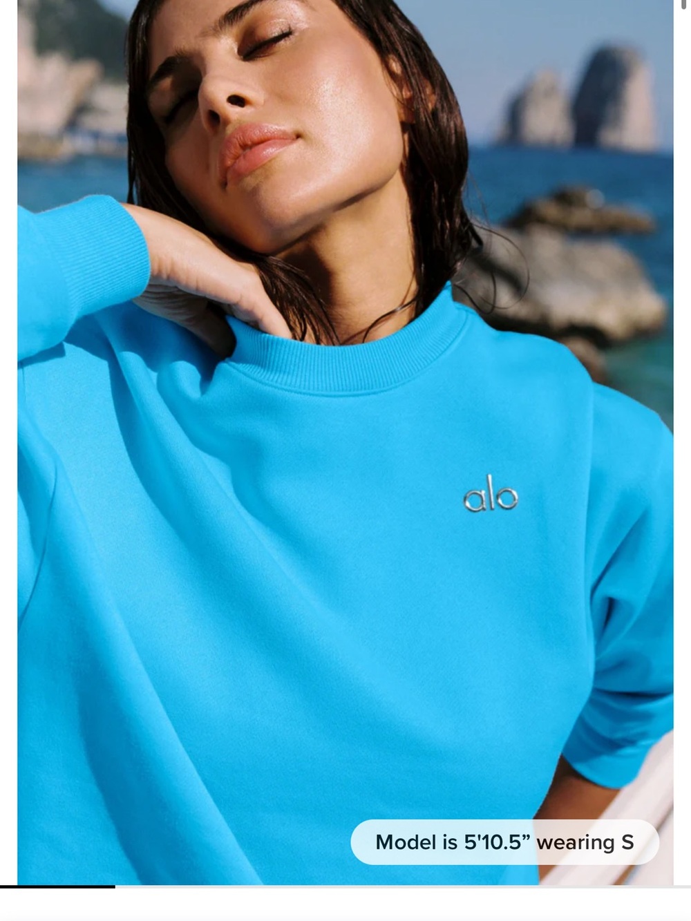 Alo Accolade Crewneck Pullover BNWT